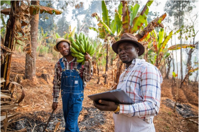 Small Businesses You Can Start in Ghana With Low Capital