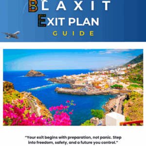 BLAXIT Exit Plan: Your 90-Day Guide